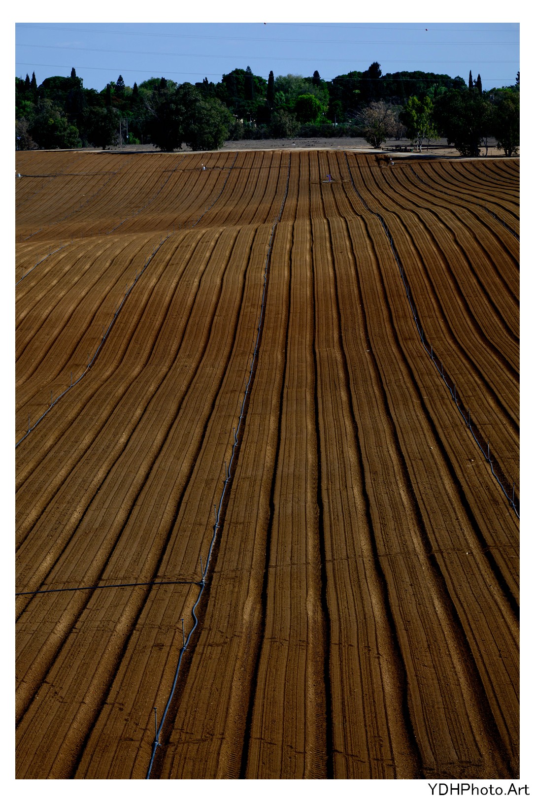 מסע אופנועי הארלי דוידסון לנגב המערבי